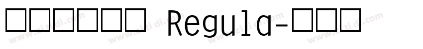 标小智无界黑 Regula字体转换